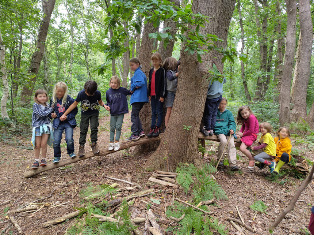 Équilibristes dans les bois